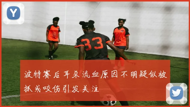 波特赛后耳朵流血原因不明疑似被抓或咬伤引发关注